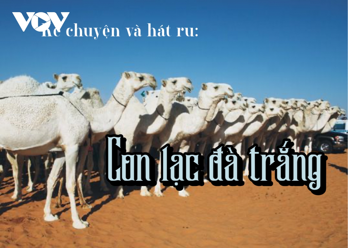 Tình mẫu tử trong truyện cổ tích "Con lạc đà trắng"